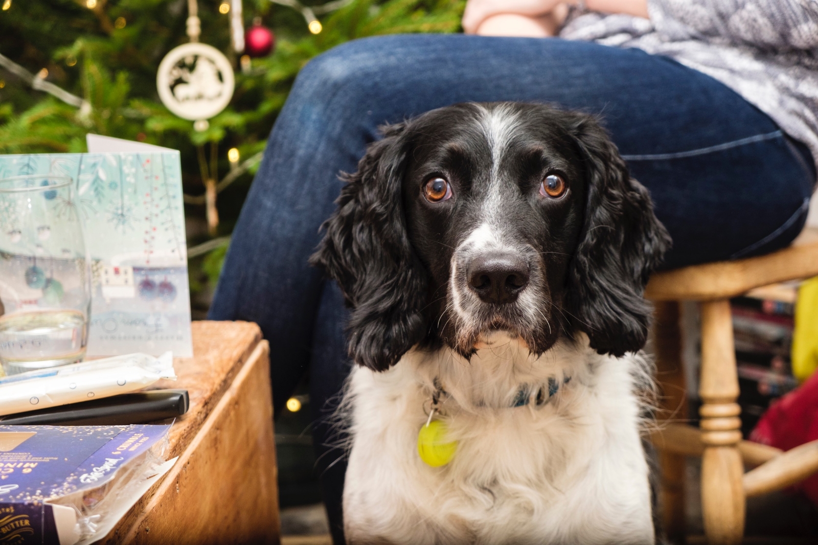 Murphy, at Vicarage Rd, Bristol